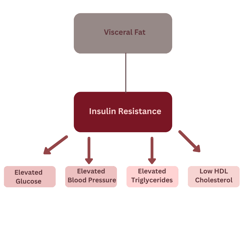 Metabolic Syndrome